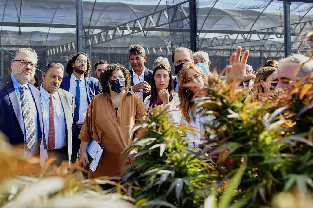 cannabis medicinal by na