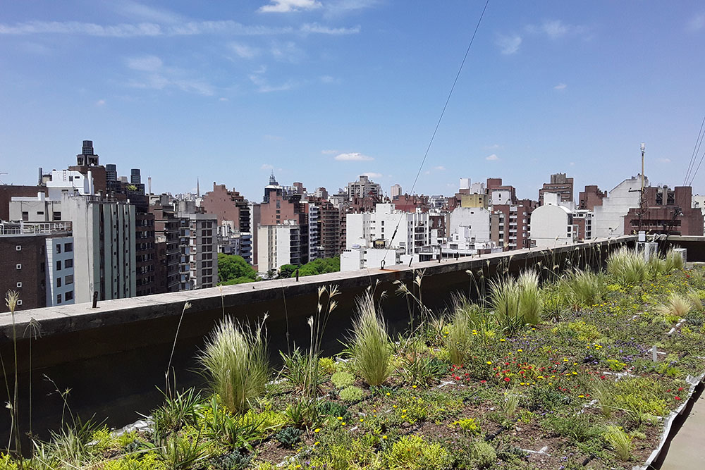 Terraza Verde _01