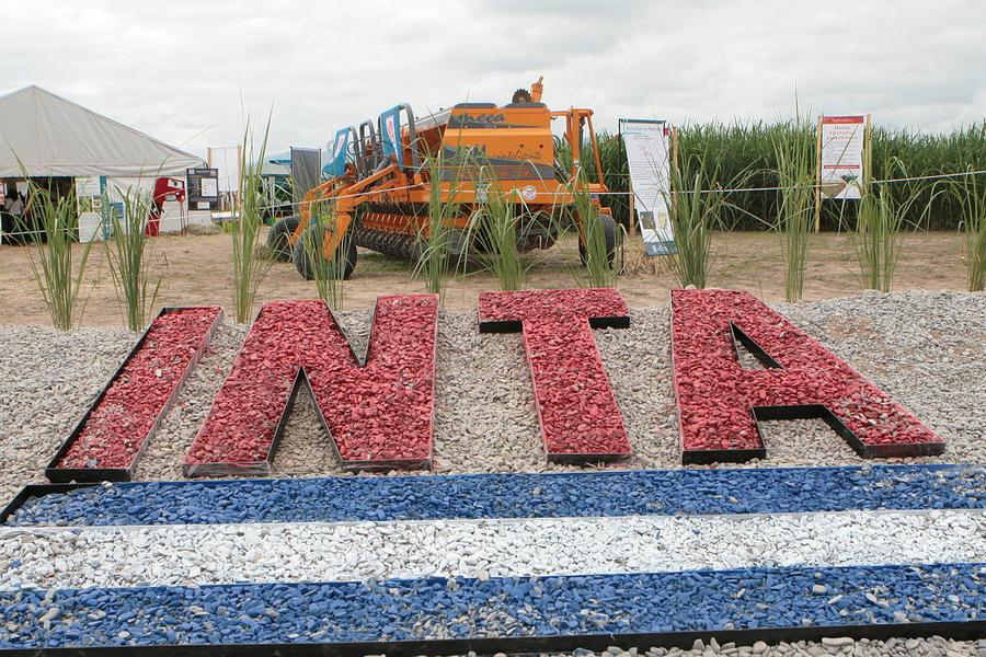 Inta