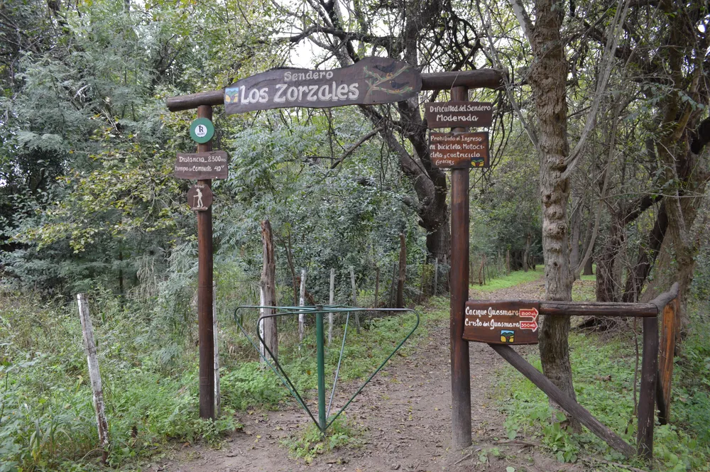 villa de las rosas 2