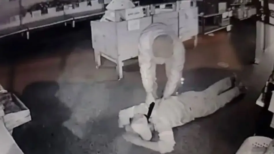 Asal en barrio Matienzo by captura de video