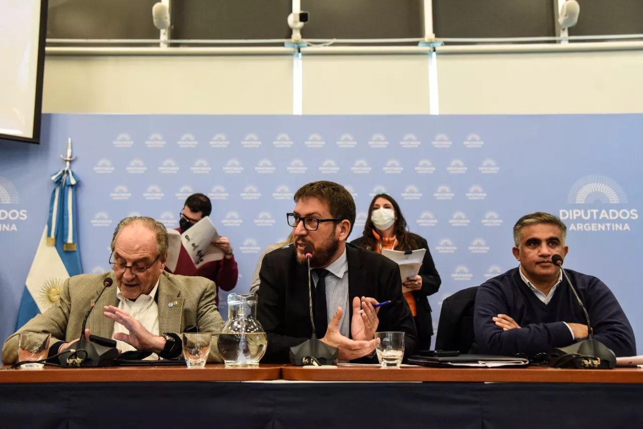 diputados