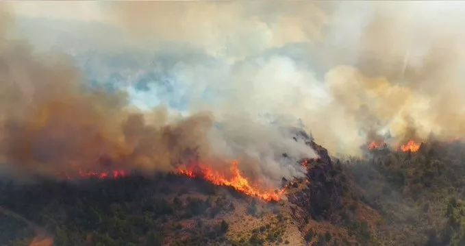 Incendio en el Parque Nacional Los Alerces (Twitter Greenpeace Argentina)