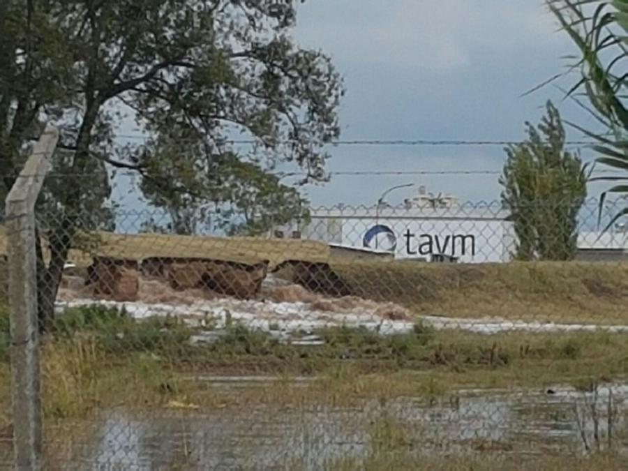 taym by diario Tortuga