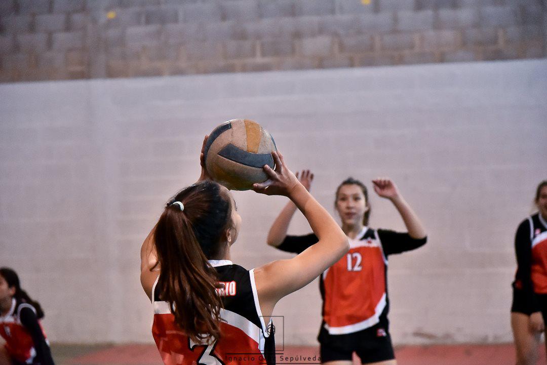 voley universitario