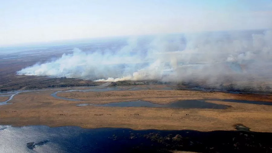 humo incendios humedales by Télam