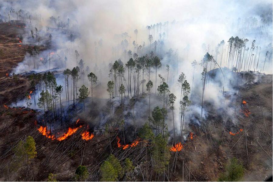 villa quillinzo incendio