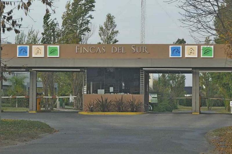 finchas