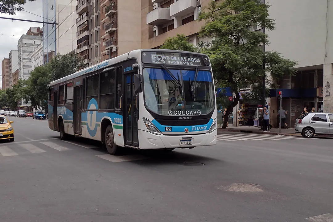 Colectivos TAMSE by LNM