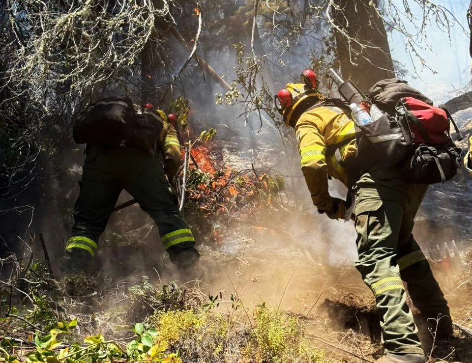 Incendios en la Patagonia (X de Manuel Adorni)