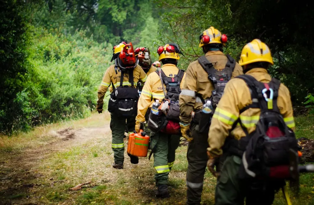 Incendios en la Patagonia by @MinSeguridad_Ar