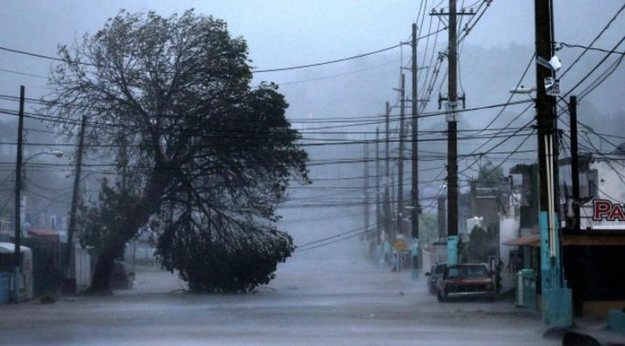 irma puerto rico