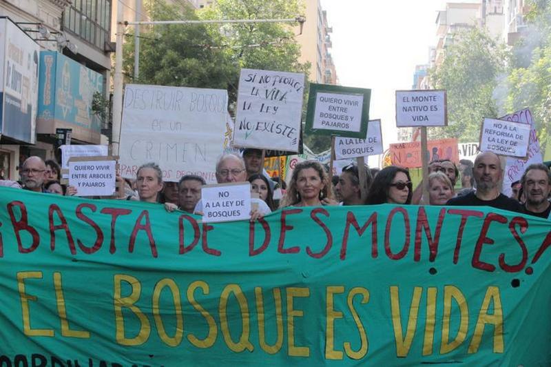 bosque nativo