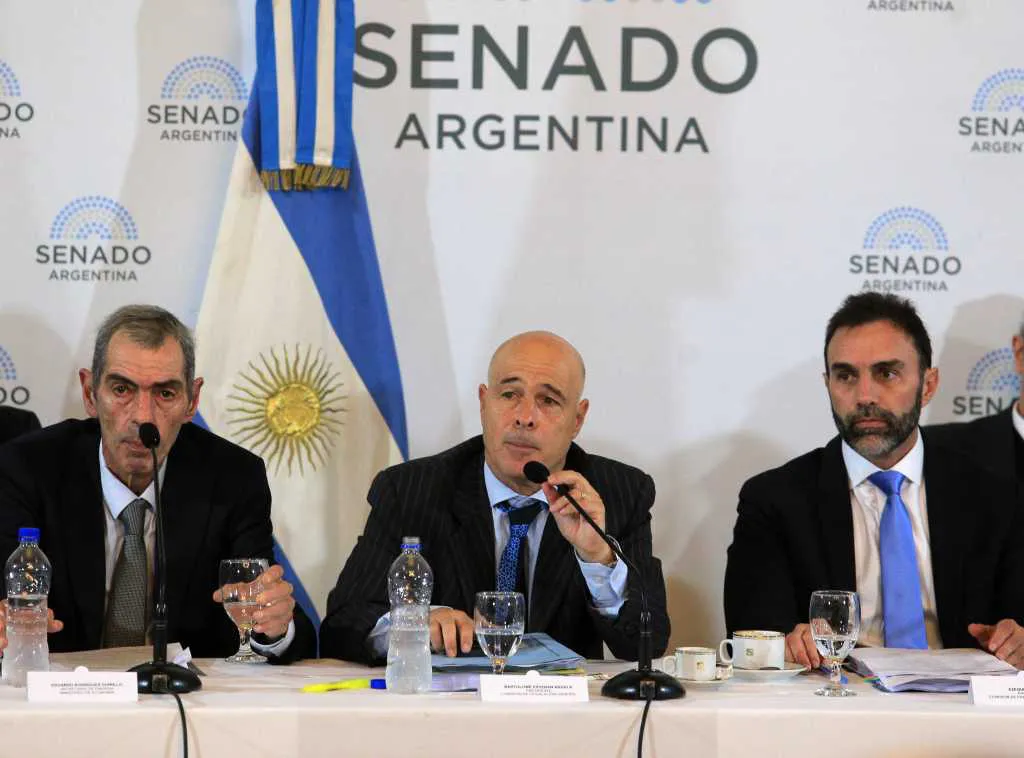 Ley Bases en Comisiones Senado NA