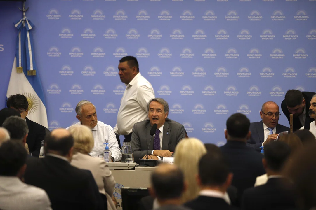 Audiencia Ley Glaciares NA