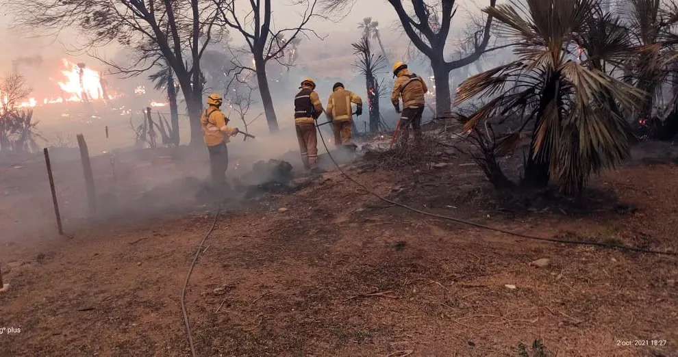 Incendio forestal en San Clemente (Gobierno de Córdoba)