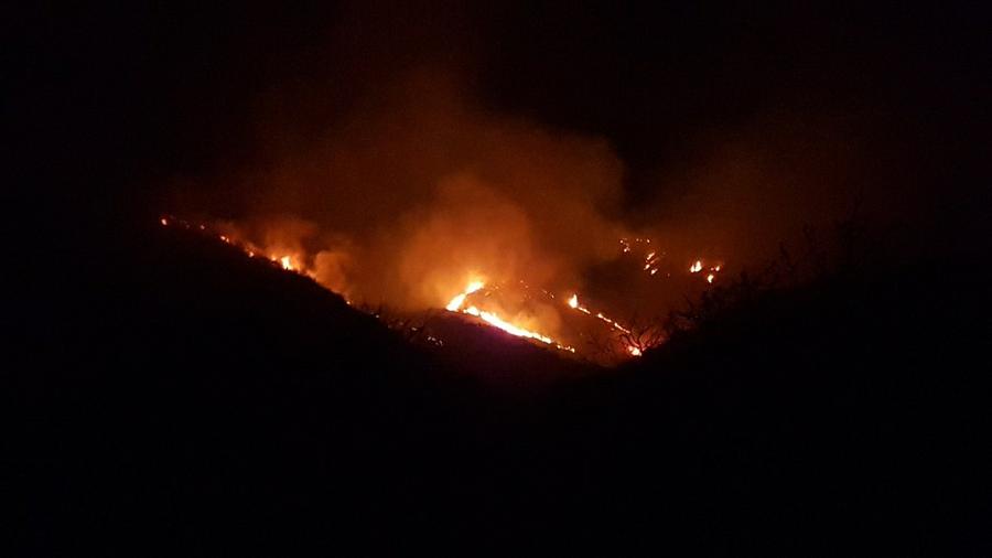 fuego en Cosquin @FuegoCba 03