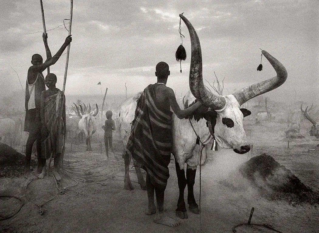 salgado 3