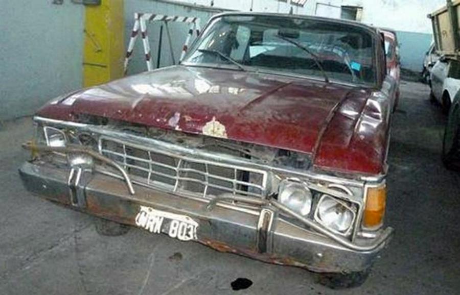 falcon
