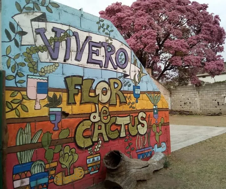Vivero Flor de Cactus