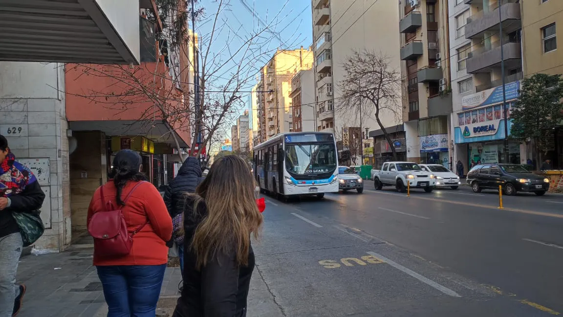 Colectivo de transporte urbano (Miriam Campos, LNM) 02