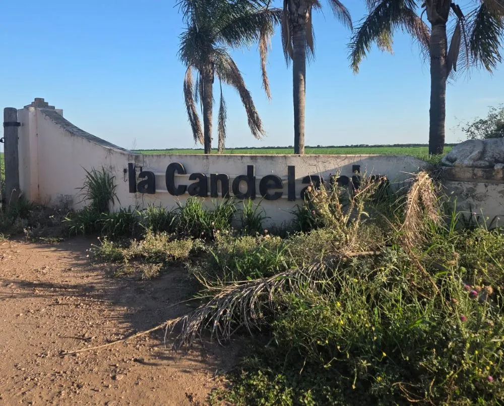 La Candelaria by Policia