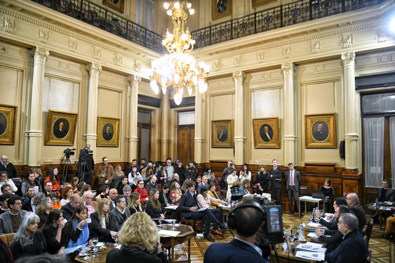 Debate en el Senado por el presupuesto universitario (X de Wado De Pedro)