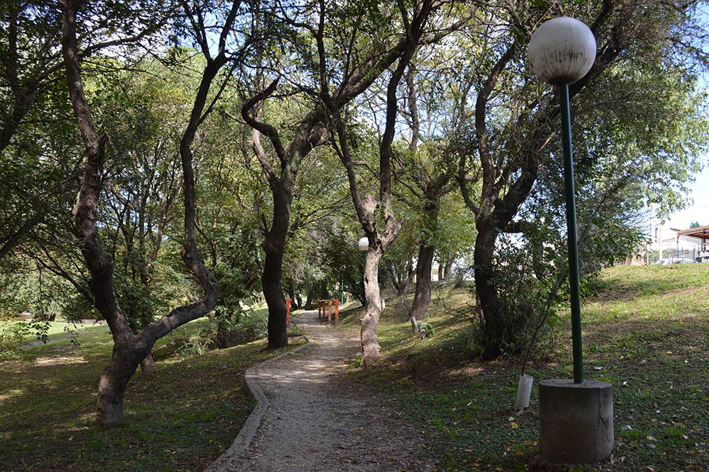 Otro tramo de la costanera donde los grandes árboles forman pequeños bosquecitos_