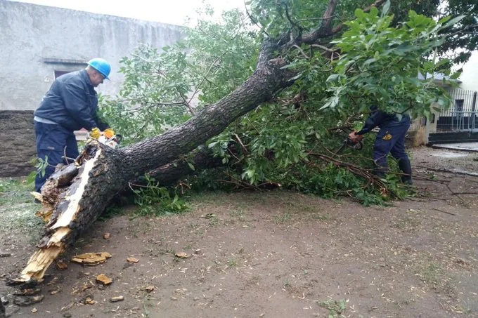 Temporal en Córdoba (Gobierno de córdoba)