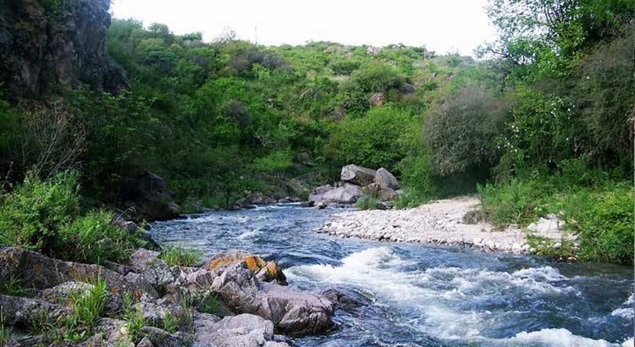la granja