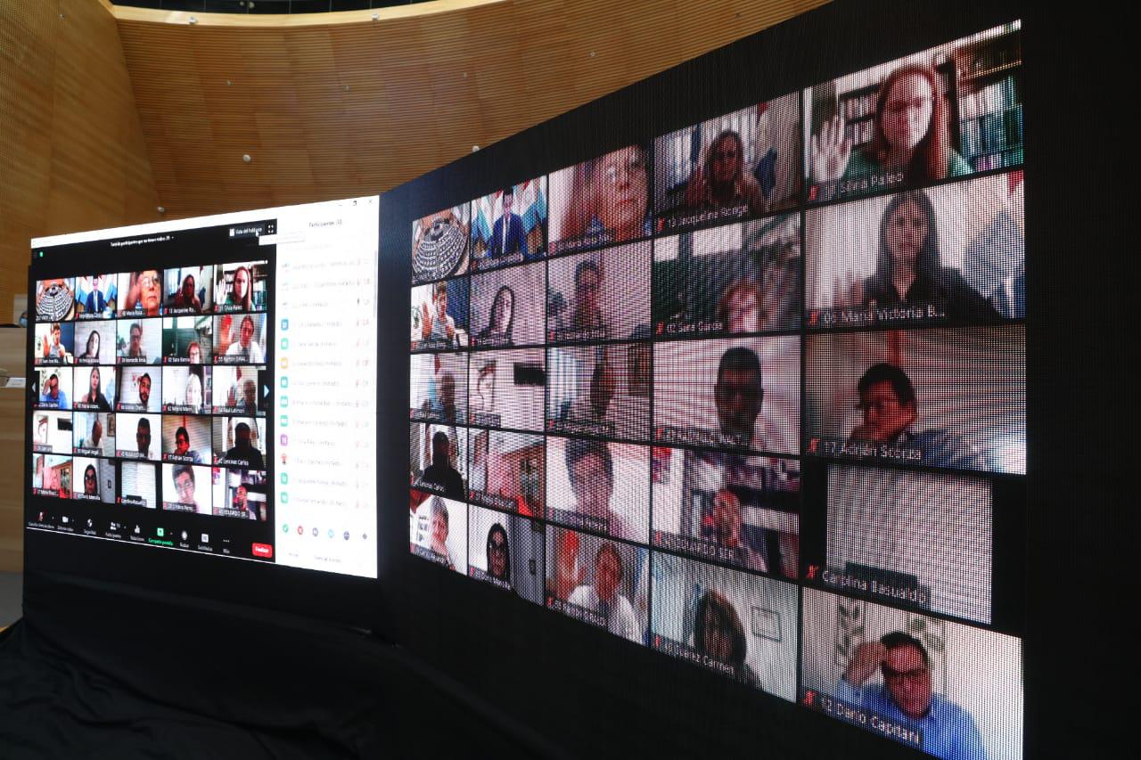 Sesion legislativa virtual
