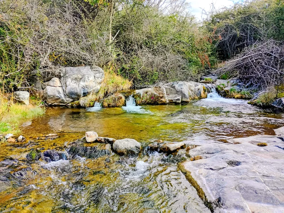 las jarillas