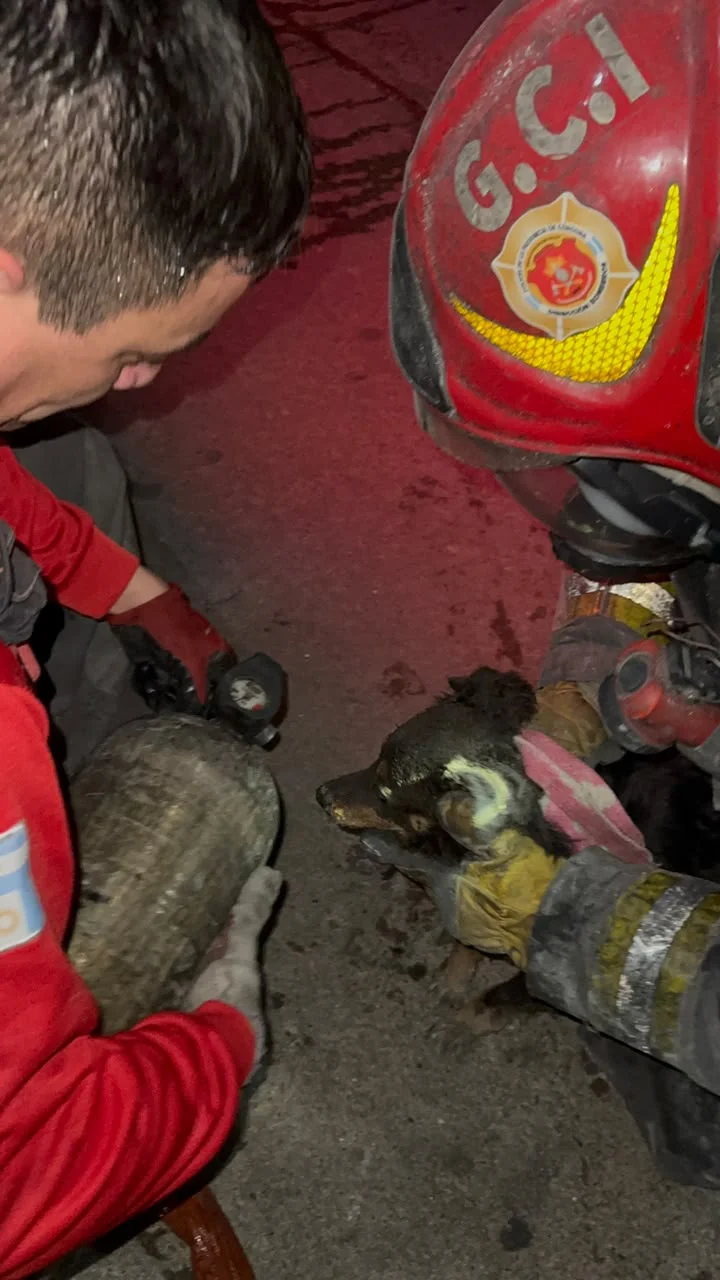 Incendio en un departamento de Alberdi (Policía) 02