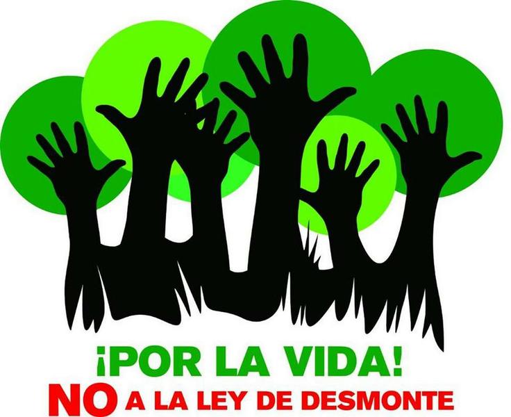 bosque nativo