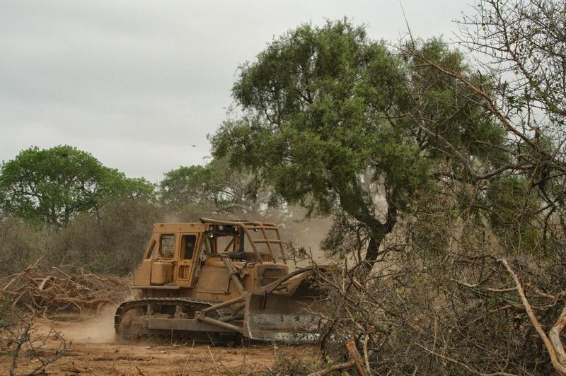 ley de bosques