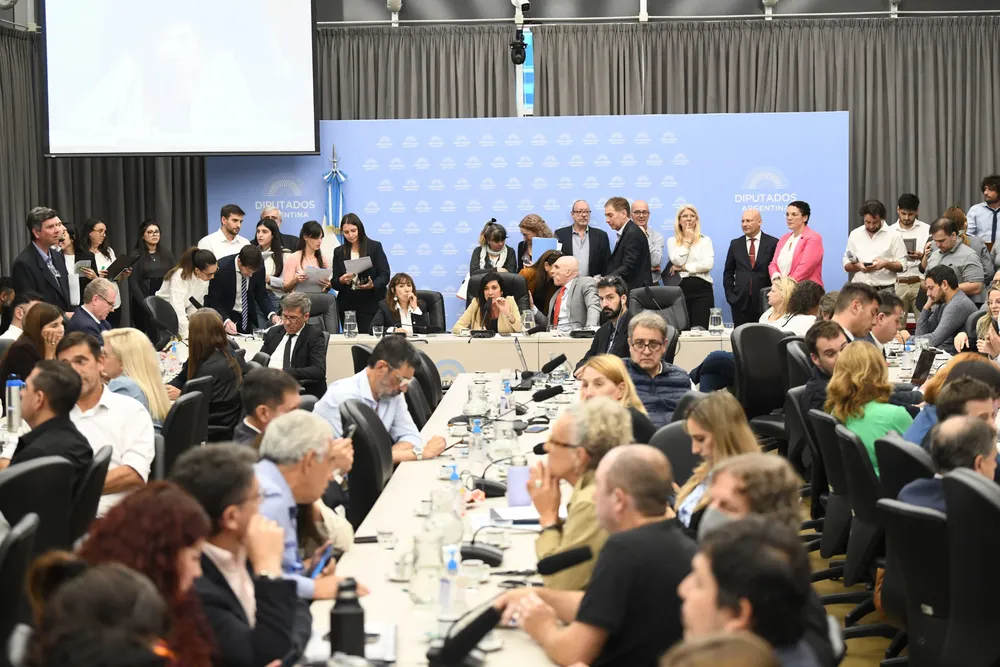 Debate en comisiones de la baja de edad de imputabilidad (X de Diputados)
