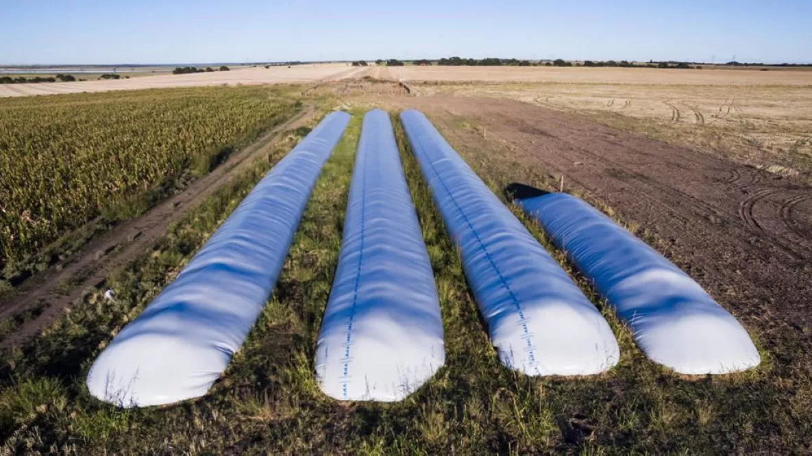 silobolsas by De Frente Campo