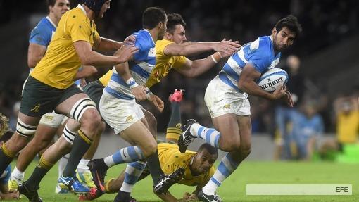 FOTO LOS PUMAS AUSTRALIA