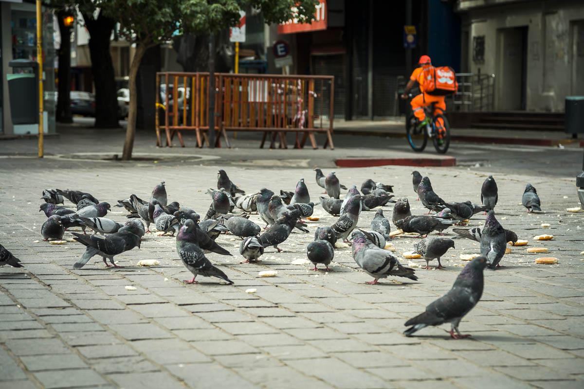 CovidCba Urbano © 2020 Javier Imaz_014
