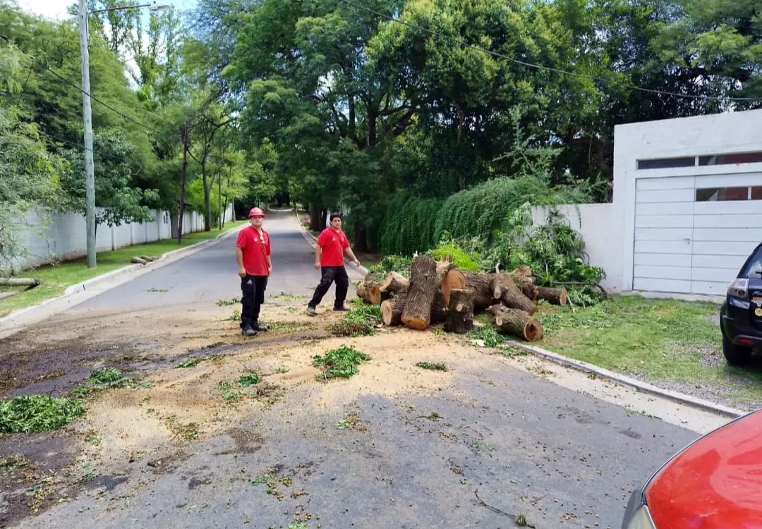 Defensa Civil árboles caídos (Municipalidad de Córdoba)