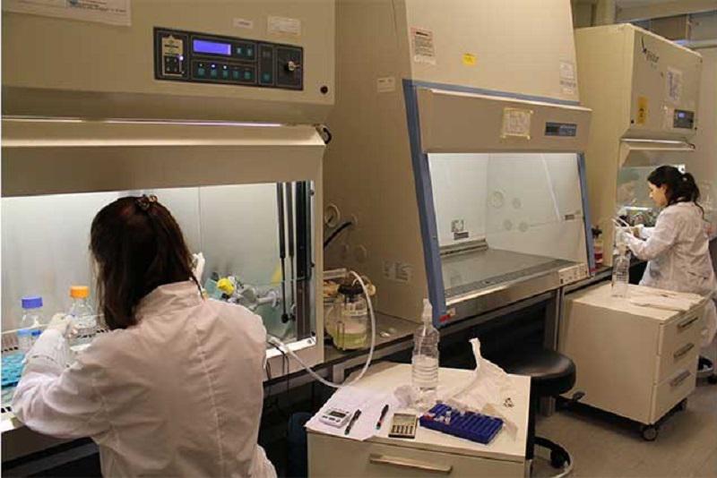 Coronavirus @mercosur