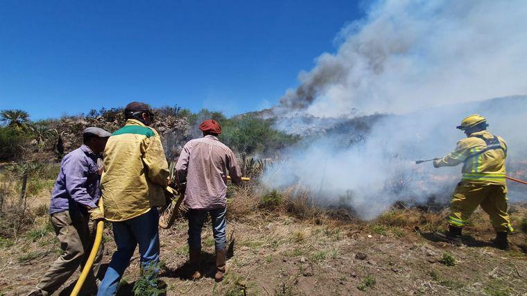 incendio san pedro