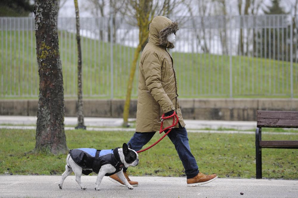paseador perro