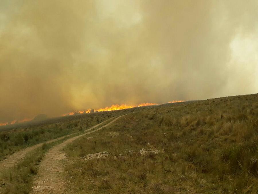 Fuego en La Granja by @Fuegocba