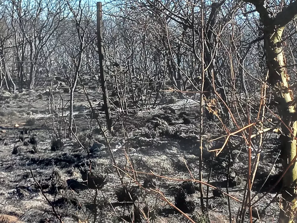 incendios 1