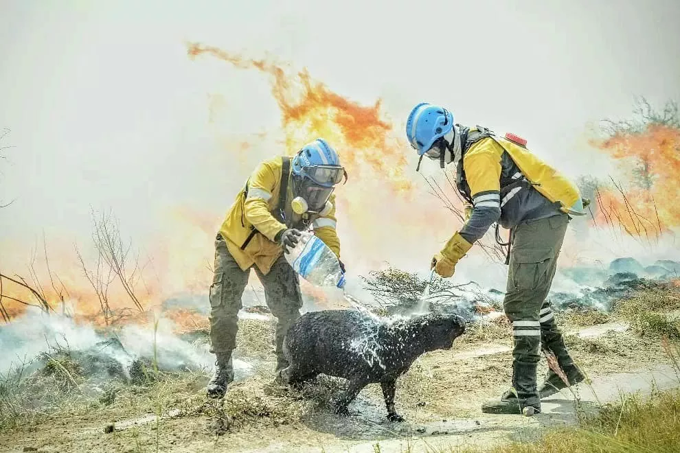incendios en Corrientes by Ismael Macía
