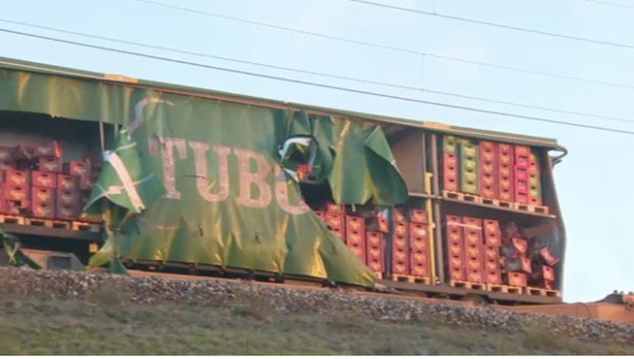 trenes dinamrca