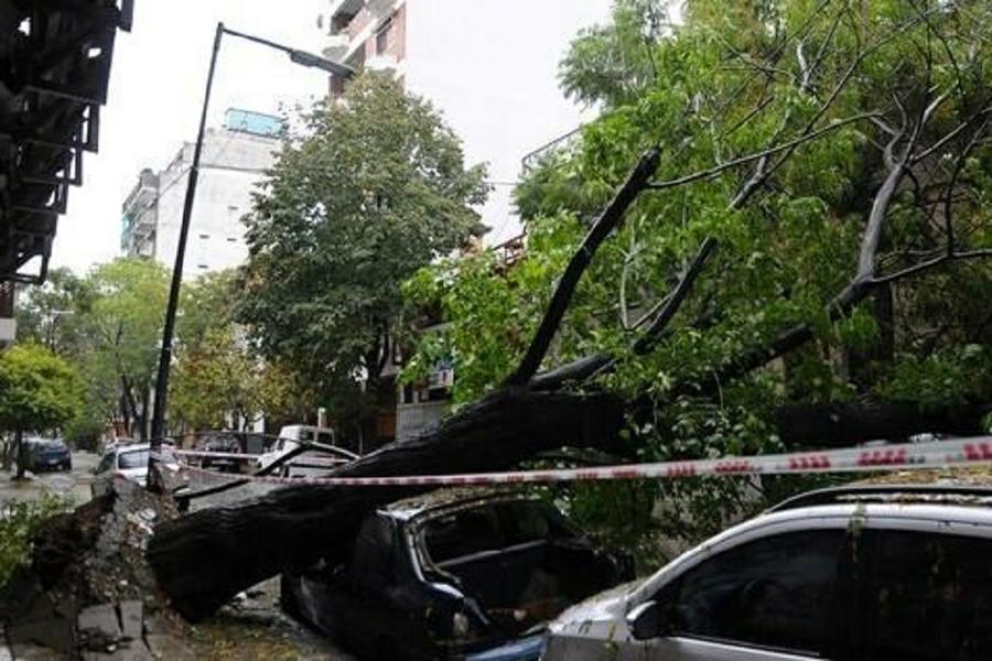 destrozos temporal 3 by Clarin