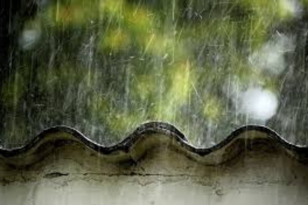 lluvias