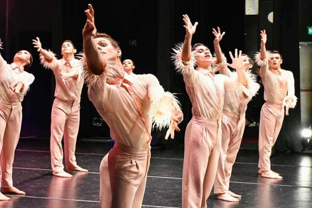 Danza teatro del libertador